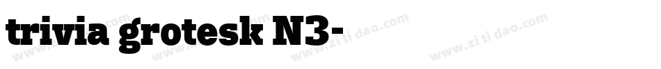 trivia grotesk N3字体转换